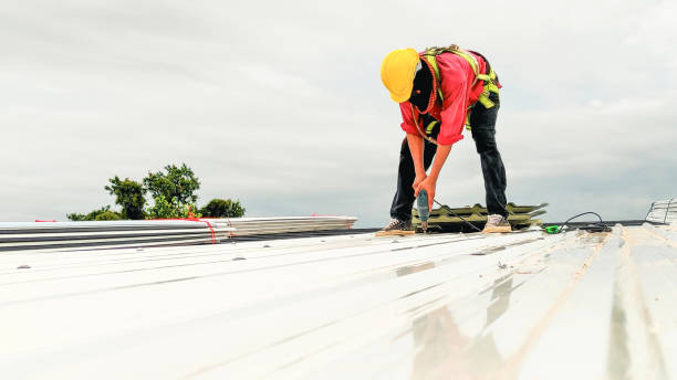 Best Rubber Roofing (EPDM, TPO)  in Ridgeville, SC