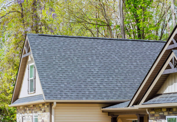 Best Green or Eco-Friendly Roofing Solutions  in Ridgeville, SC